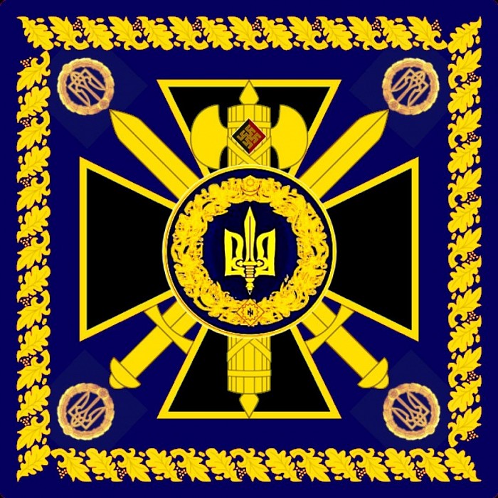 Штандарт Організації Національна сила України